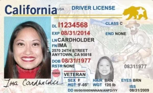 sample drivers licence