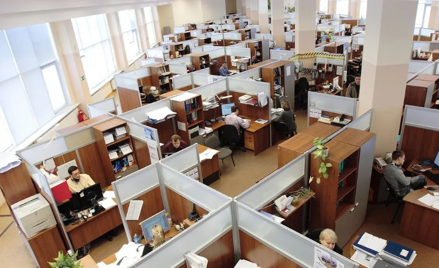 employees working in office cubicles