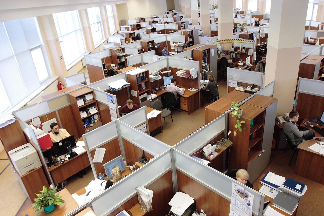 employees working in cubicles in an office