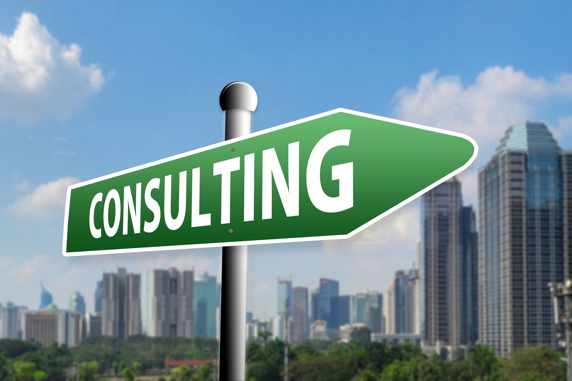 Tax Strategies for Professional Organizational Consultants