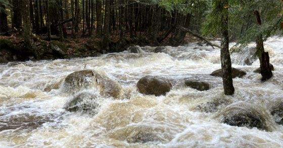 floods - natural disaster